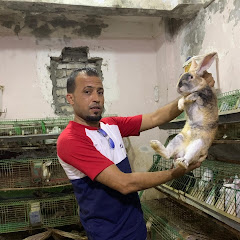 مزرعه جابرمنازع لتربيه الارانب