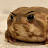 @Yamel2000