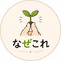 なぜこれ