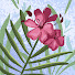 mp02MsMHgpQ-channel-avatar-TastyTadka kitchen