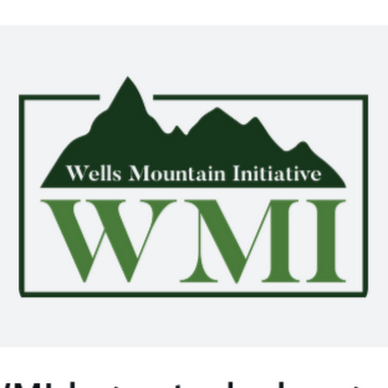Wells Mountain Initiative