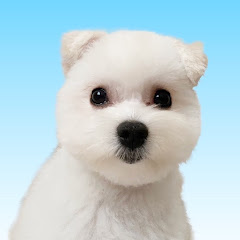 ハマのゲーム。