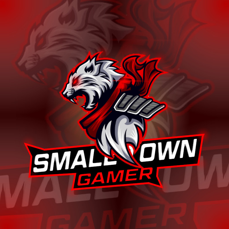 SMALL TOWN GAMER
