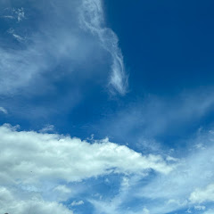 なまけものの初心者
