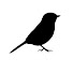 7fEY9M9Vlgk-channel-avatar-Nature Calls