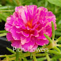 Pich Flowers logo
