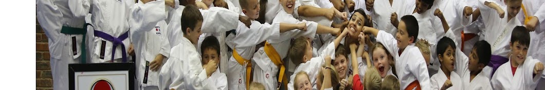 Karin Prinsloo For The Love Of Karate YouTube channel avatar