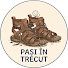 c4_a4Y74mXg-channel-avatar-Pași în Trecu