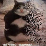 Автор