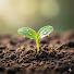 XZASRlQ4hIk-channel-avatar-The Garden Of Wisdom and Deeply Rooted Knowledge