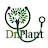 @Dr.PlantsAndArt