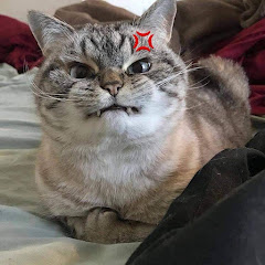 あいうえお