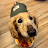youtube avatar