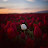 @ايهسلمي-ص2ع