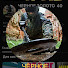 w3loSACDDI8-channel-avatar-ЖЕЛЕЗНЫЙ КЭШ