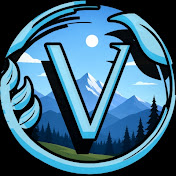 Vizi