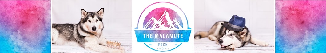 The Malamute Pack YouTube kanalı avatarı
