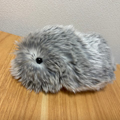 もーちゃん channel thumbnail