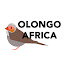 LHcvphKwCKg-channel-avatar-OlongoAfrica