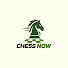 ve8nhytvwSY-channel-avatar-Chess Now