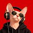 kGxtxFjM9xo-channel-avatar-Nine Lives Radio