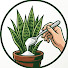v-13JAfEc8E-channel-avatar-Spoonful Garden