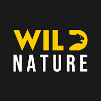 Poll from WILD NATURE - Nature animal documentary