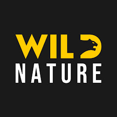 WILD NATURE - Nature animal documentary