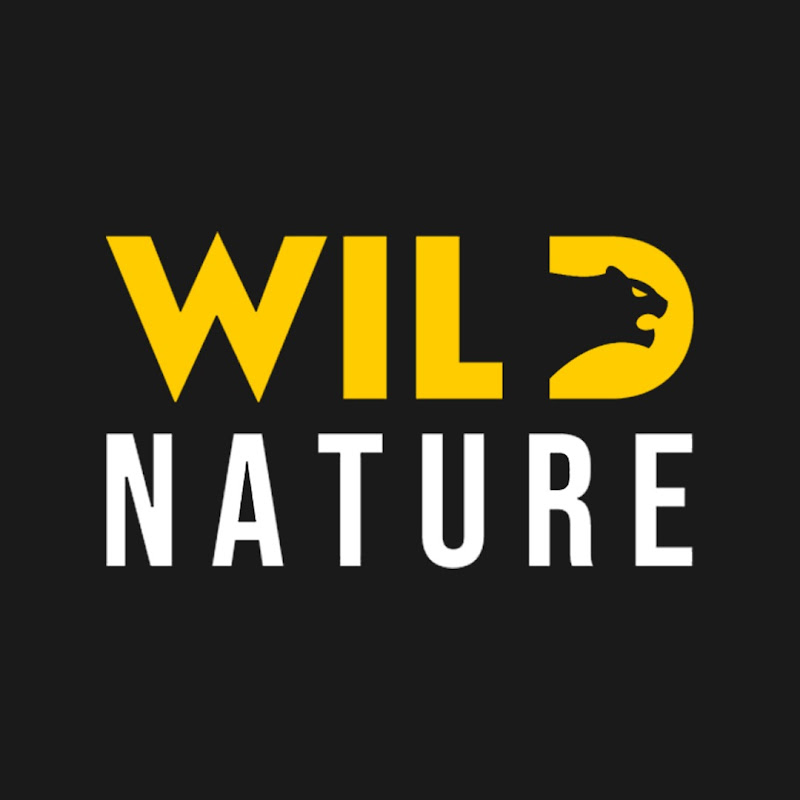 WILD NATURE - Nature animal documentary Logo