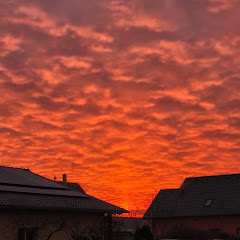 Tipy na výlety,kočičky,recepty,výročí 