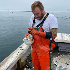 Mainefisherman