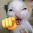 rqJga47Bo9w-channel-avatar-FanficPranks