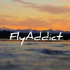 FlyAddict net worth