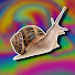 Q7ZokeJiOFo-channel-avatar-Snail USB