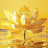 @쭈야-r4o