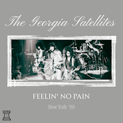 Georgia Satellites - Topic