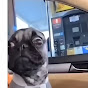 TheGamerRepGD