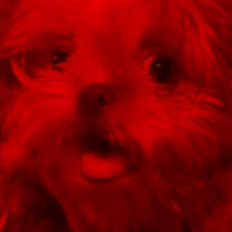 UncleCay