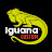Iguana Custom Garage
