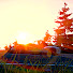 uQ66nw9ovZQ-channel-avatar-Rangueeva