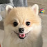 _0YqpqR7_xw-channel-avatar-GG17
