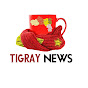 Tigray News 24 logo