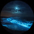 8l5TXBvP_CQ-channel-avatar-Calm Seaa