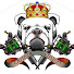 I3_4veXzcIY-channel-avatar-Camber Custom 