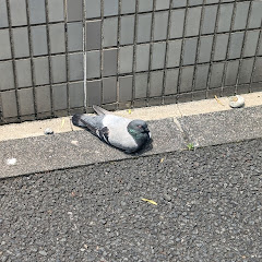 春原