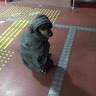 Автор