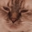 @conpansan2130