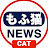 もふ猫NEWS