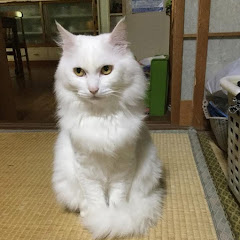 ゾイドスリーゾイドNeo西暦3039年からミラ違人生ネンリキープス