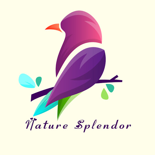 Nature Splendor